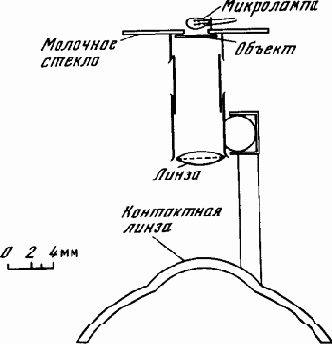 Обломки системы понятий