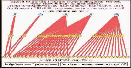 Интеллектуальные информационные системы
