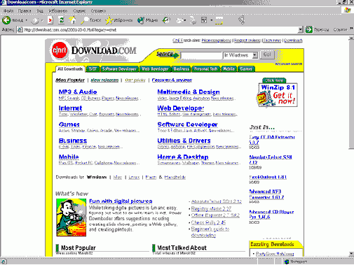 Учебник по созданию shareware программ